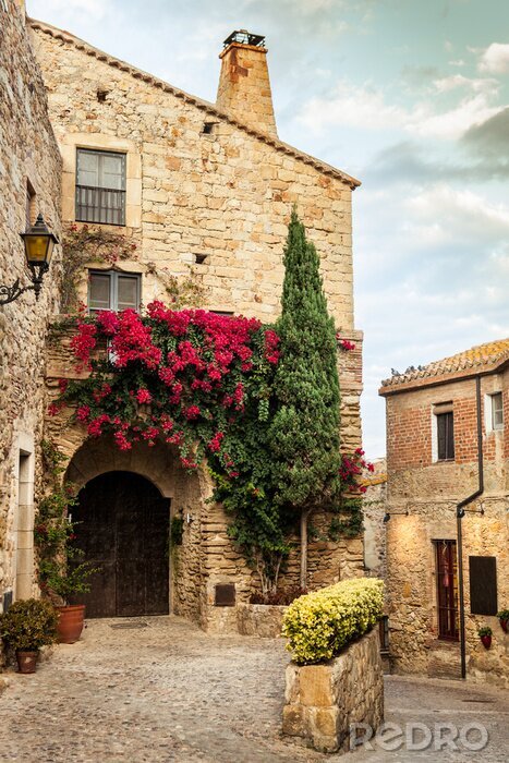 Fototapete Städtische Architektur mit Blumen