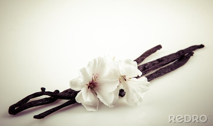 Fototapete Stangen und Blüten von Vanille