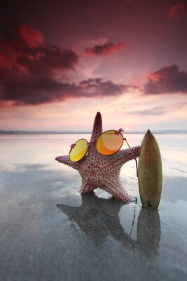 Starfish-Surfer am Strand
