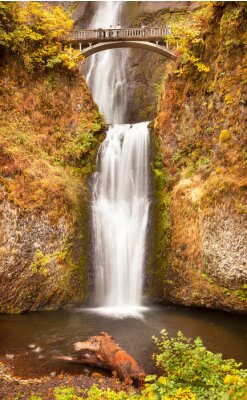Fototapete Steg am Wasserfall