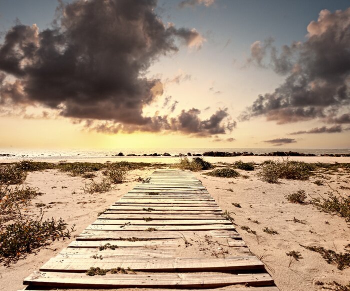Fototapete Steg auf sandigen Dünen