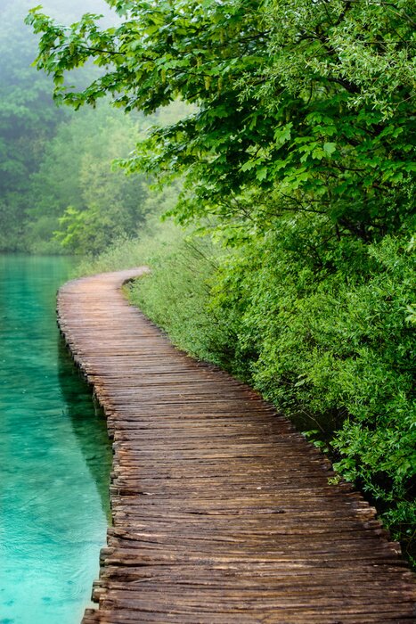Fototapete Steg aus Brettern am Teich