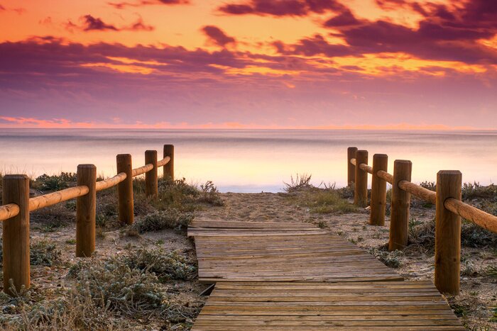 Fototapete Steg zwischen Dünen am Meer