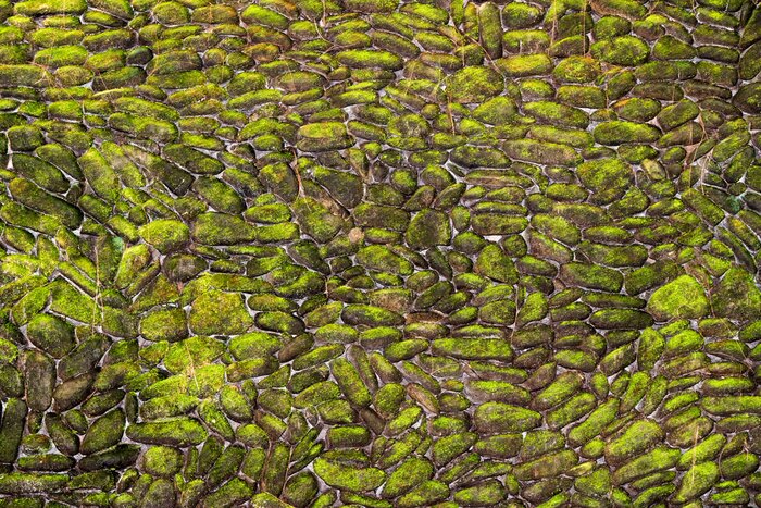 Fototapete Steine an der Wand mit Moos bedeckt