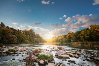 Fototapete Steine im Flusswasser
