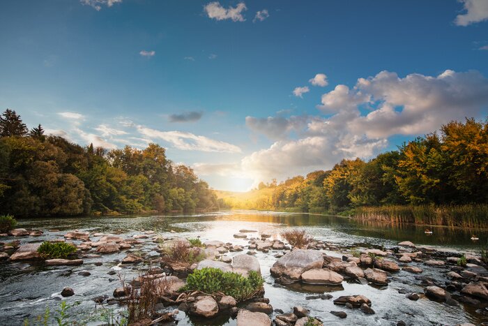 Fototapete Steine im Flusswasser