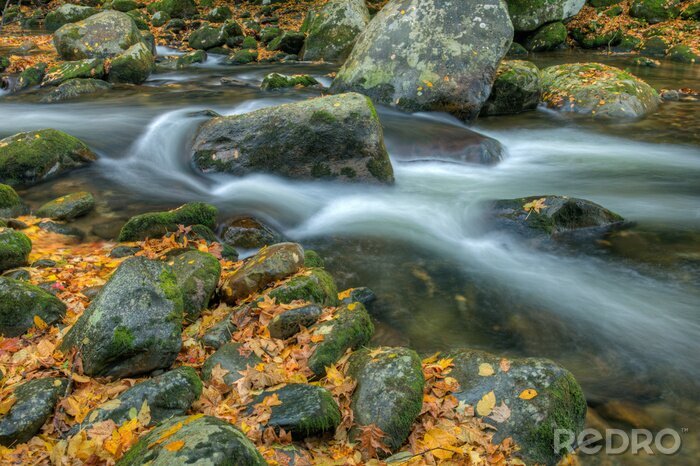 Fototapete Steine im reißenden Fluss