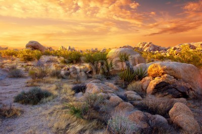Fototapete Steine in der Wüste