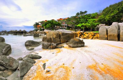 Steine und Strand in einer exotischen Landschaft