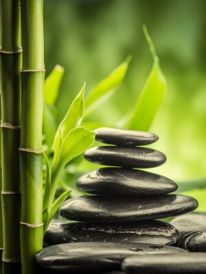 Steine Zen umgeben von Bambussprossen
