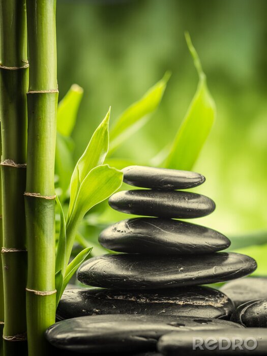 Fototapete Steine Zen umgeben von Bambussprossen