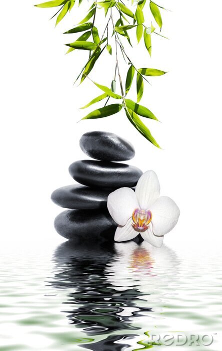 Fototapete Steine Zen und Orchidee auf Wasser