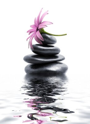 Steine Zen verziert mit einer rosa Blume