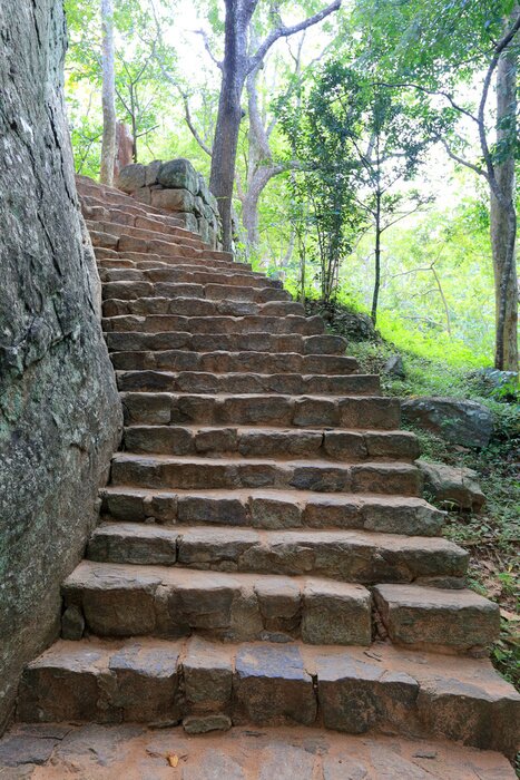 Fototapete Steintreppe im Wald