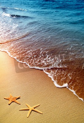 Fototapete Sterne am Strand und tropisches Meer