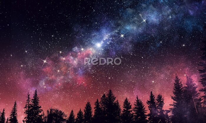 Fototapete Sternenhimmel über einem dunklen Wald