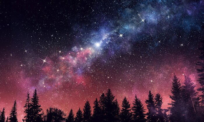 Fototapete Sternenhimmel über einem dunklen Wald