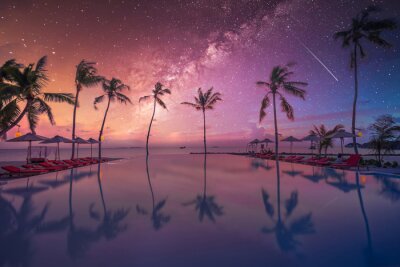 Fototapete Sternschnuppe am Himmel zwischen Palmen