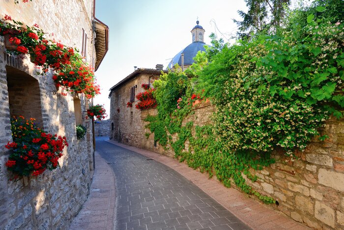 Fototapete Stille Gasse mit Blumen