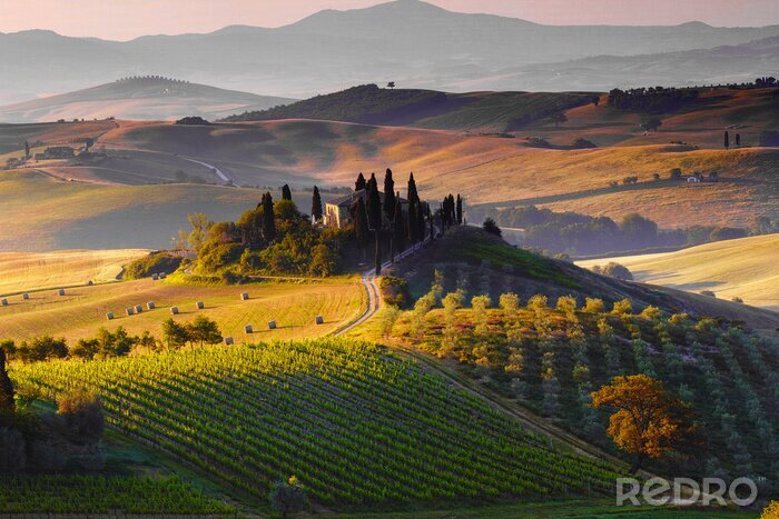 Fototapete Stimmungsvolle Landschaft der Toskana