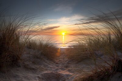 Fototapete Strand Meer und Sonne