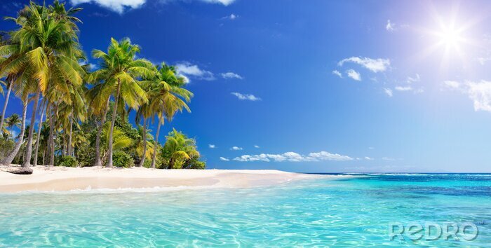 Fototapete Strand Palmen und türkisfarbenes Wasser