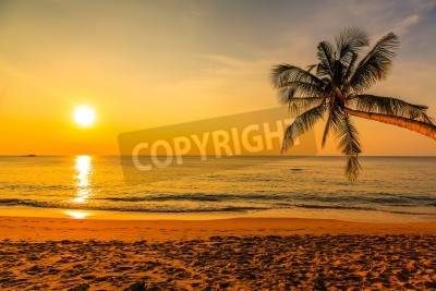 Fototapete Strand Palmen und untergehende Sonne