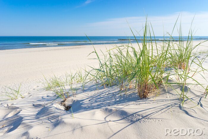 Fototapete Strand Sand und Wasser