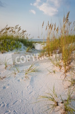 Fototapete Strand und Dünen mit Gras