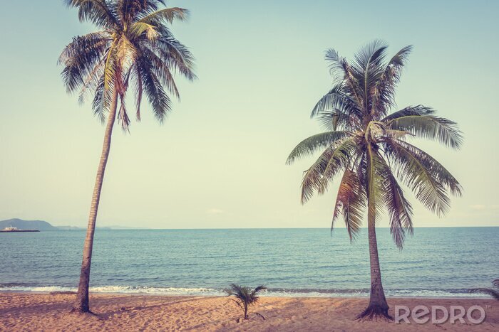 Fototapete Strand und Kokosnusspalmen
