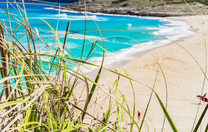 Fototapete Strand und Natur