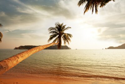 Fototapete Strand und Palmen in der untergehenden Sonne