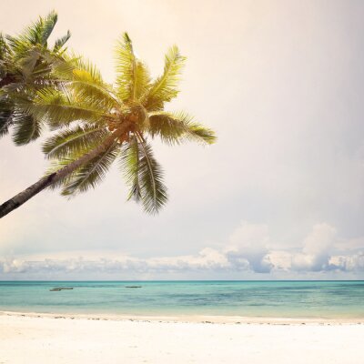 Fototapete Strand und Palmen unter wolkenlosem Himmel