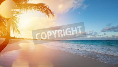 Fototapete Strand und Sonnenschein