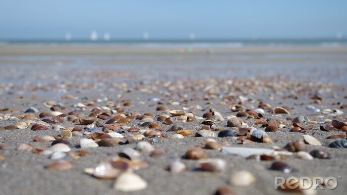 Fototapete Strand und Steine