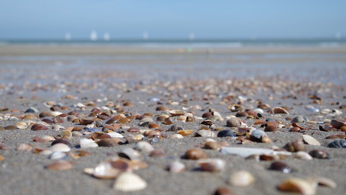 Fototapete Strand und Steine