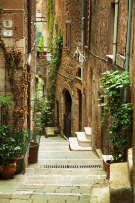 Fototapete Straße mit Pflanzen in Italien