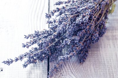 Fototapete Strauß von getrocknetem Lavendel