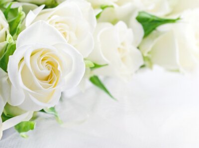 Fototapete Strauß weißer Rosen in Nahaufnahme.