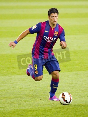 Fototapete Suarez auf dem grünen Rasen