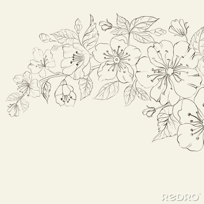 Fototapete Subtile Skizze von Blumen auf weißem Hintergrund