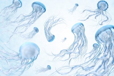 Fototapete Tanzende Quallen auf hellem Hintergrund