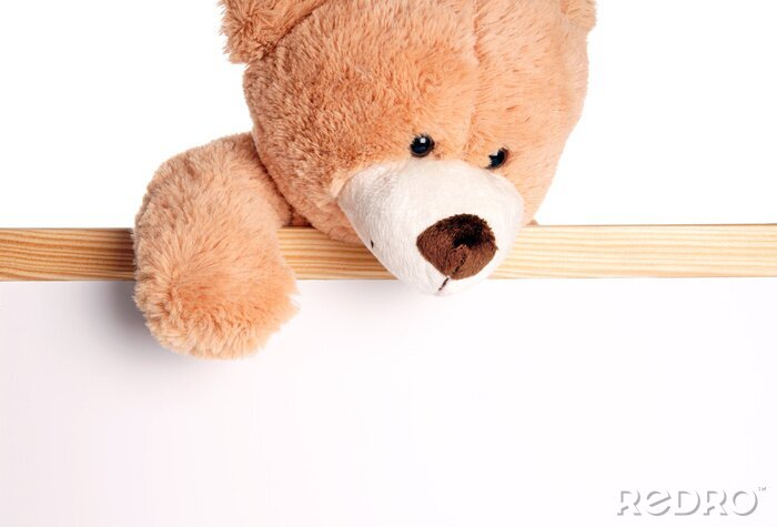 Fototapete Teddybär