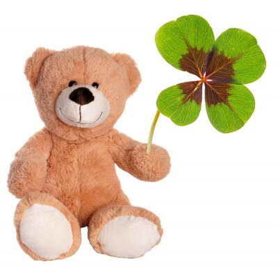 Teddybär und grüner Klee