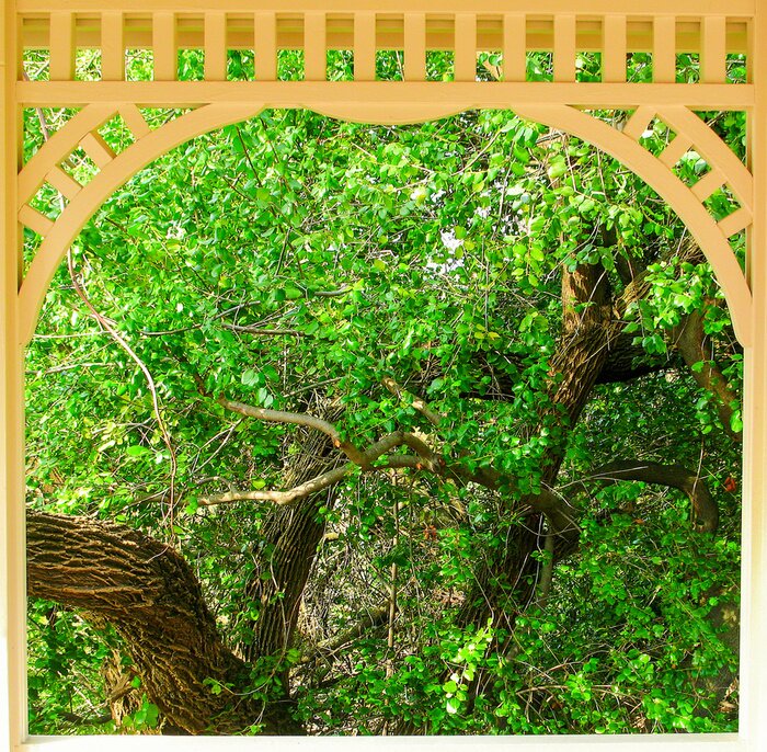 Fototapete Terassenausblick auf wunderschöne natur