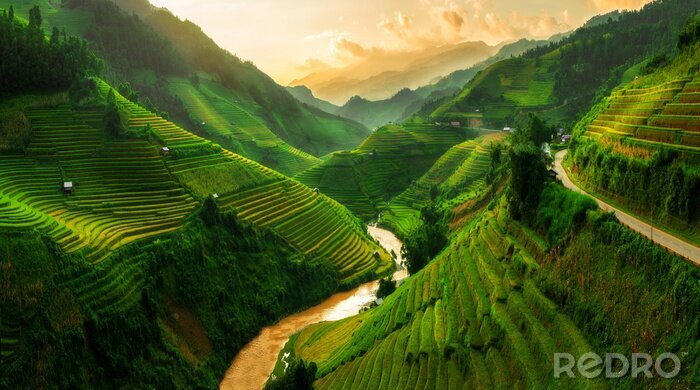 Fototapete Terrassenförmiges Reisfeld in Mu Cang Chai, Vietnam