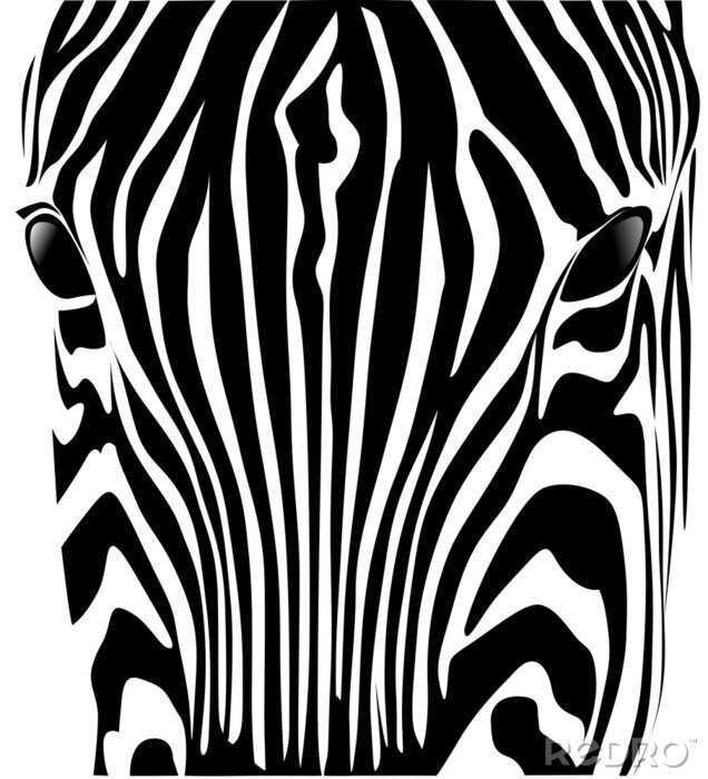 Fototapete Test zebra
