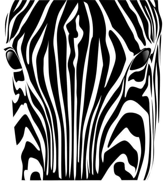 Fototapete Test zebra