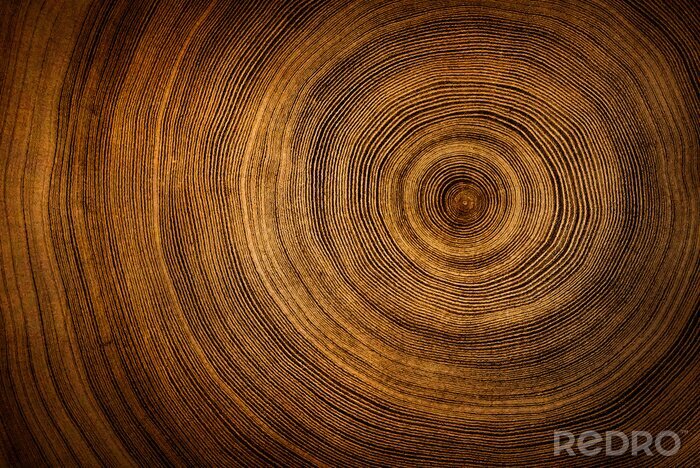 Fototapete Textur des geschnittenen Holzes