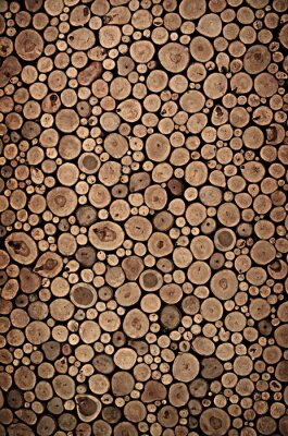 Fototapete Textur mit Holzstämmen
